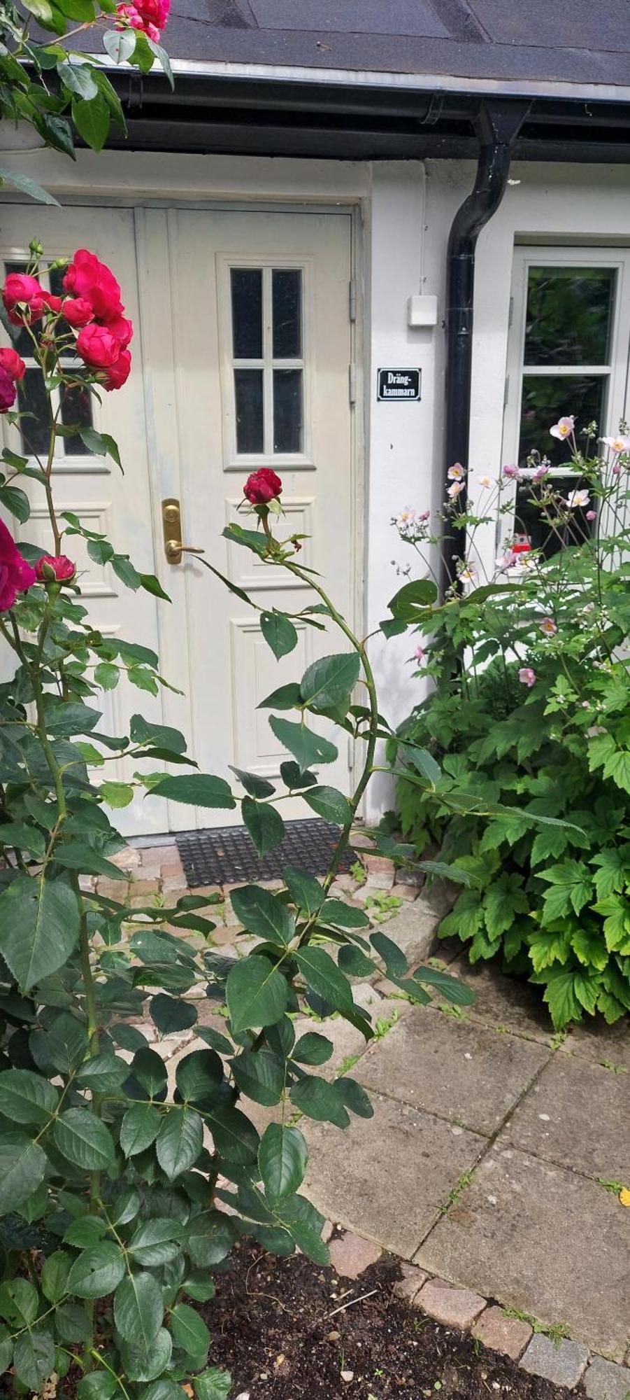 Bjerred B&B Bjärred Exteriér fotografie