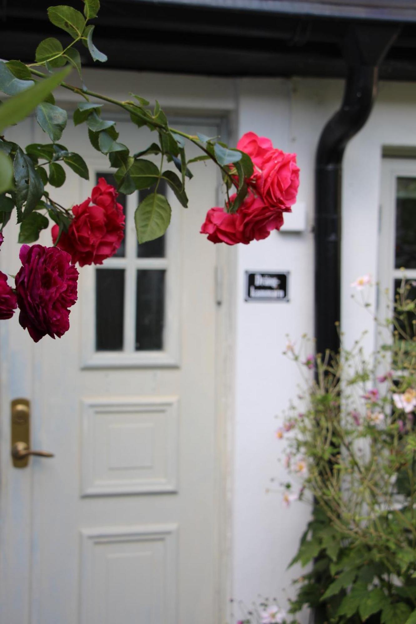 Bjerred B&B Bjärred Exteriér fotografie