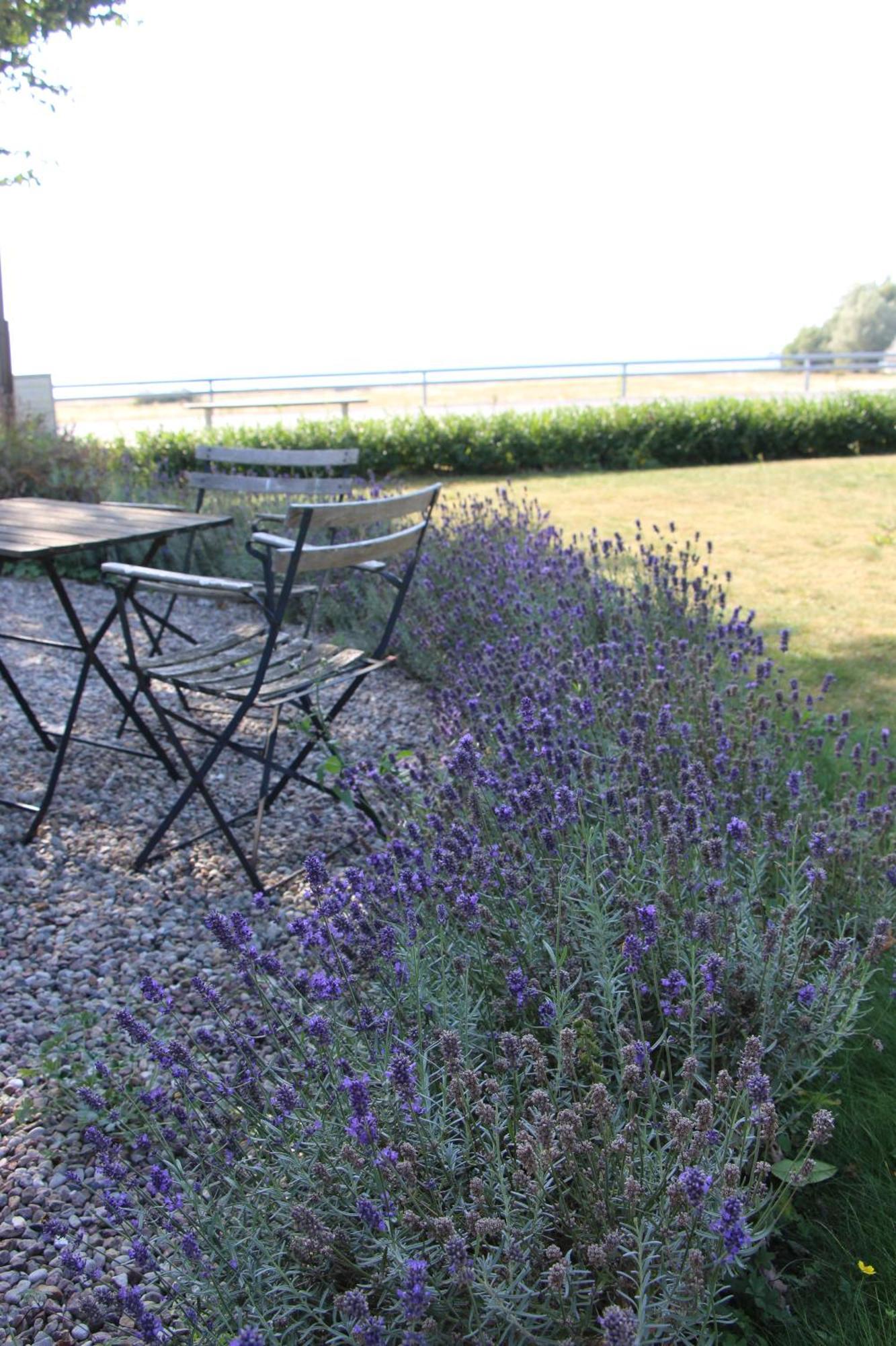 Bjerred B&B Bjärred Exteriér fotografie