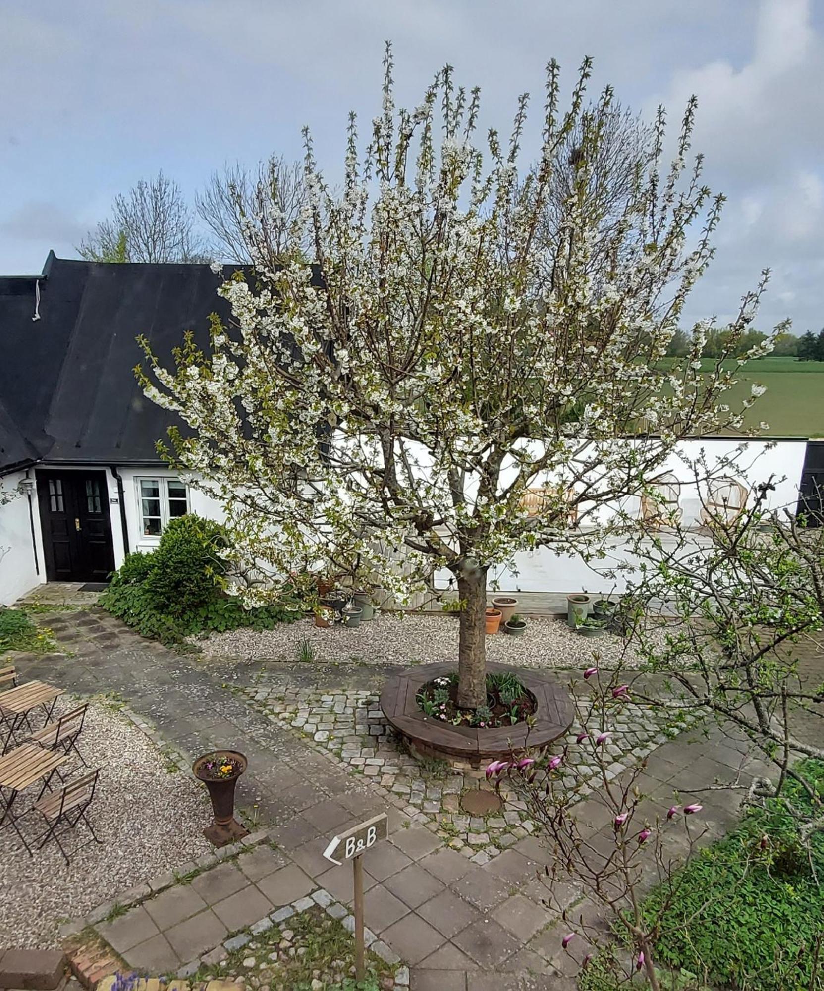 Bjerred B&B Bjärred Exteriér fotografie